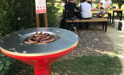 Plancha Oberthur